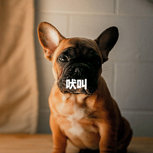 Subdued Ambiance for Great Lounges