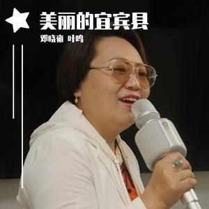 美丽的宜宾县 MIX 叶鸣首唱版