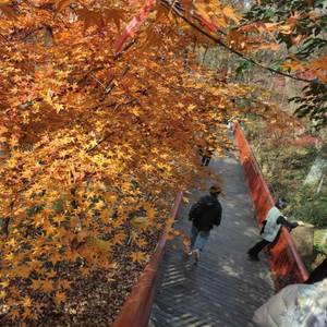 2022.03.29-11.18.06-上午_2022-03-29_112520