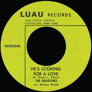 He's Looking For a Love