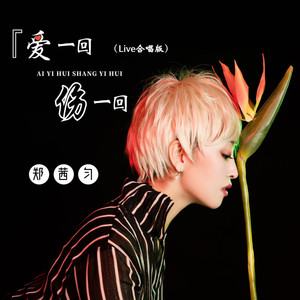 爱一回伤一回 (Live合唱版)