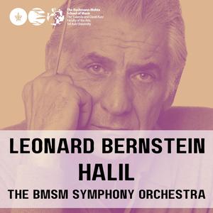 Leonard Bernstein Halil (feat. Neal Stulberg & Shaked Jacob)