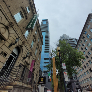 Connection, Pt. 1 cz tiger