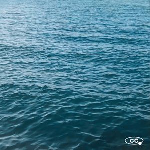 Cantaloupe to Indigo