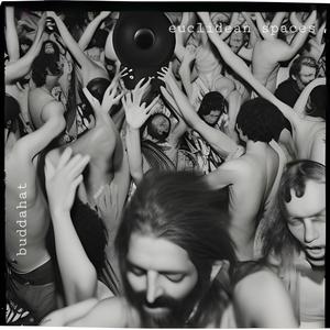 The Euclidean Spaces in Kings Heath Park