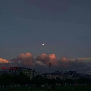 我在龙高凑数的日子（prod by lv9）