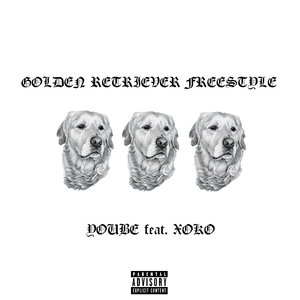 Golden Retriever Freestyle