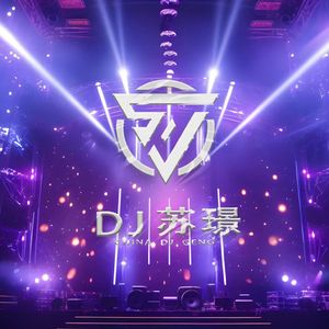 让我欢喜让我忧（DJ Geng Electro mix）