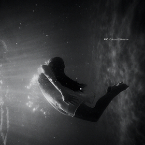 The Shadow of Everyone