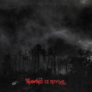 Dnevnici Jednog Purgera