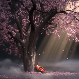 车载必备：无损粤语