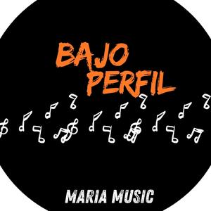 Bajo Perfil