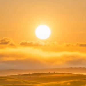 A Sunny Day
