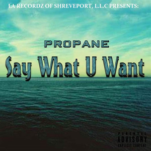 Say What U Want