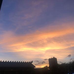 惠化洞(指弹版)