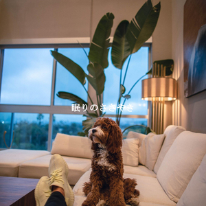 Background for A Still Mind