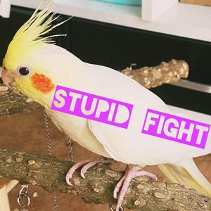 Stupid fight