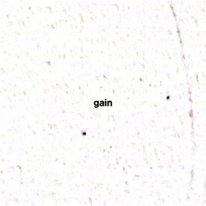 gain