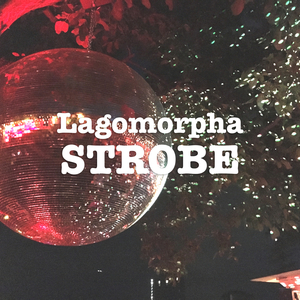 Strobe (Radio Edit)