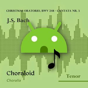 Christmas Oratorio, BWV 248 - Cantata nr. 3: 26 - Lasset uns nun gehen gen Bethlehem (Emphasised voice and other voices)