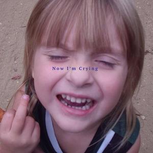 The Disinclined Rebel