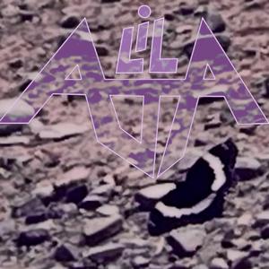 J.A.R.
