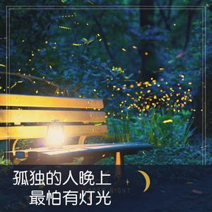孤独的人晚上最害怕有灯光（抖音热播版）