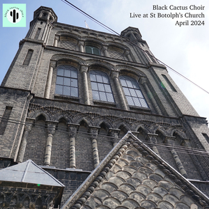 Beach Boys Medley (Live)