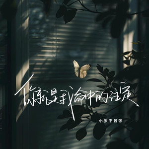 你就是我命中的注定