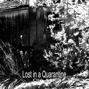 Lost in a Quarantine