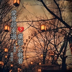 爱曾经来过,痛那么执着