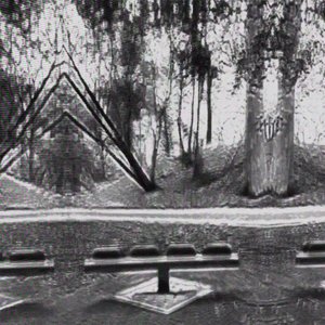 Dictionary of Shadows