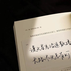 夕阳醉了（拾叁 remix）