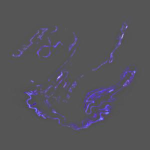 hsstm (feat. N T H N)