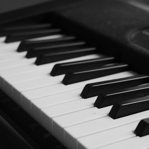 エンジョイステップ