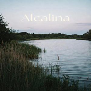 Alcalina