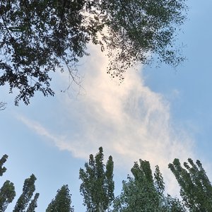 生活转弯后是幸福