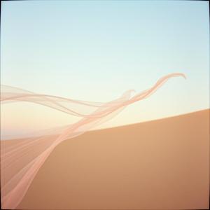 바람에 흘려보내 (Fatemeh Khodadadi Cover A) by geem96870 - An Infinity Project Signal