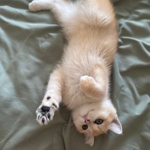 分享欲真的很重要吗