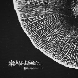 Limitless (feat. Ivans Baigais)