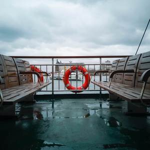 Wellerman (Instrumental Version)