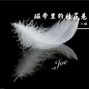 磁带里的桂花巷