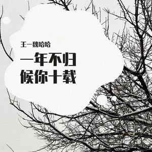 一年不归候你十载2.0