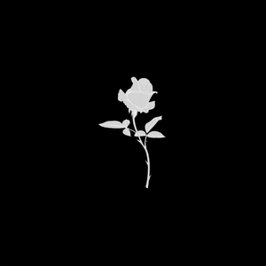 Bando (Sped up + Reverb)