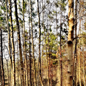 我们曾经爱过 MMM