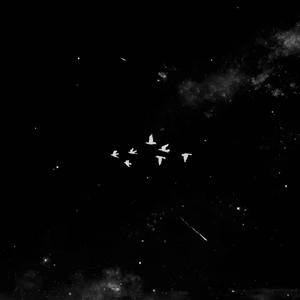 归（Prod by Yzz）