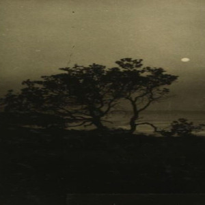 Sarıldığımız sokağın kuşlarına