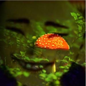 Funguy (feat. Yung Deco)