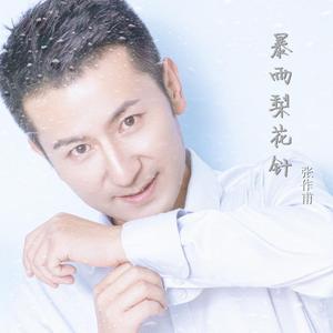 暴雨梨花针 伴奏