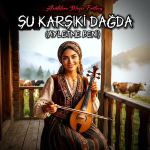 Şu Karşıki Dağda (Ayletme Beni) | Anatolian Psychedelic 70s Rock